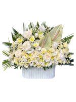 باکس کرکره ای کد 327