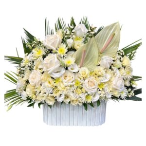باکس کرکره ای کد 327