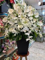 باکس گل بوبو کد 307 - Image 2